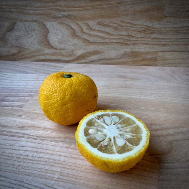 Citrus